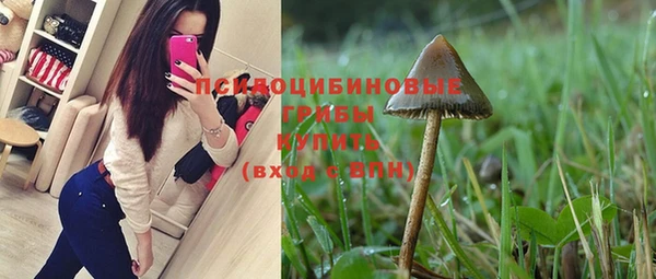 мдпв Володарск